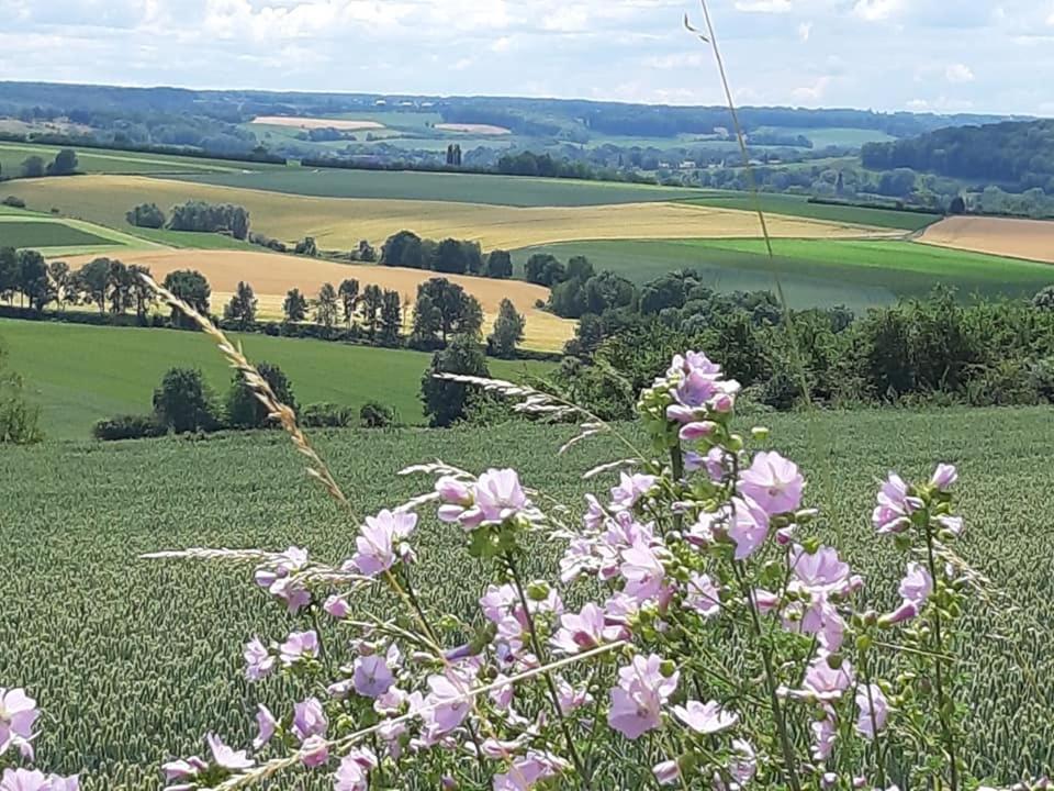 Hotel Berg En Dal Epen Kültér fotó